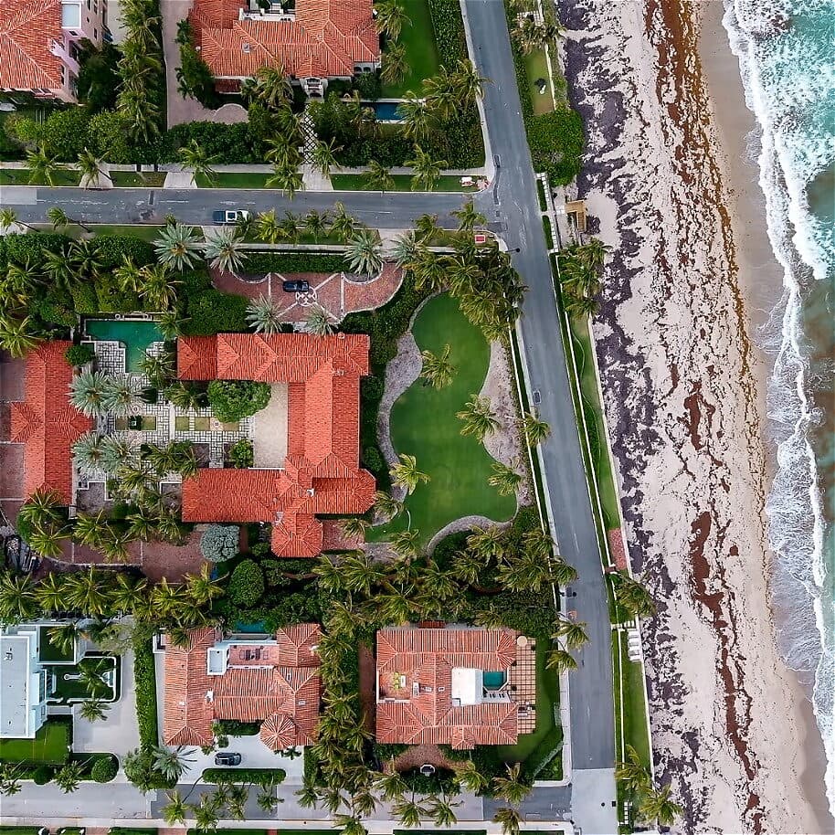 Palm Beach (In Progress), photo 4